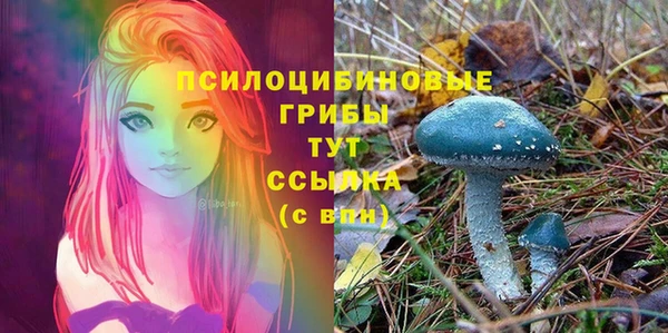 стафф Вязники