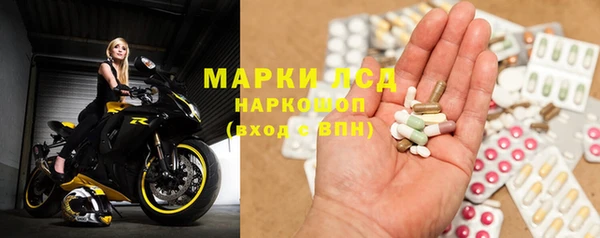 индика Михайловск