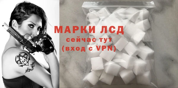 индика Михайловск