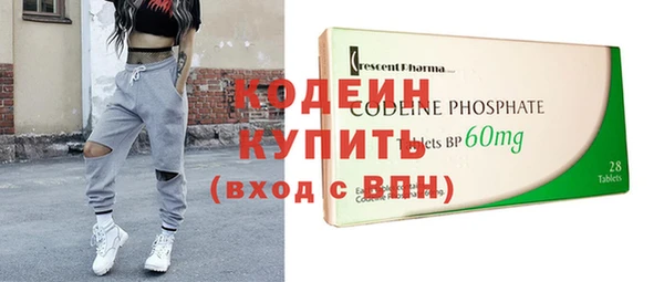индика Михайловск