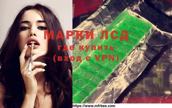 ПСИЛОЦИБИНОВЫЕ ГРИБЫ Михайлов