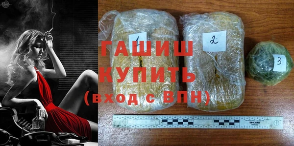индика Михайловск