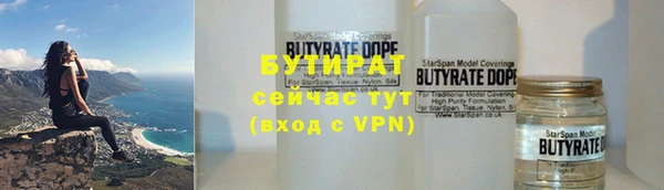 индика Михайловск