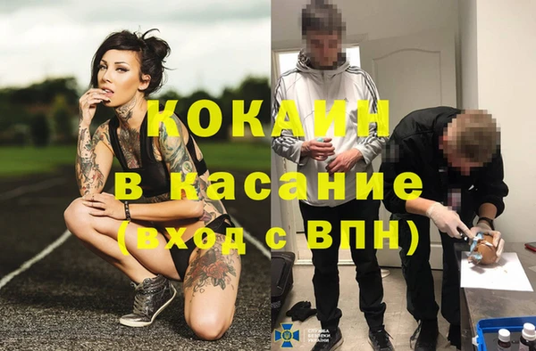 индика Михайловск
