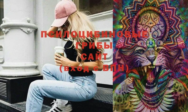 индика Михайловск