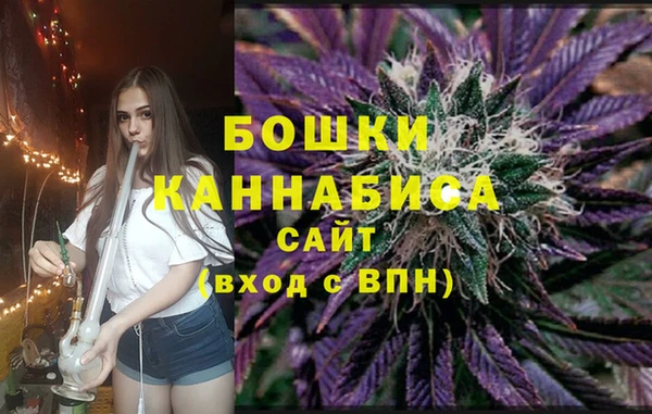 индика Михайловск