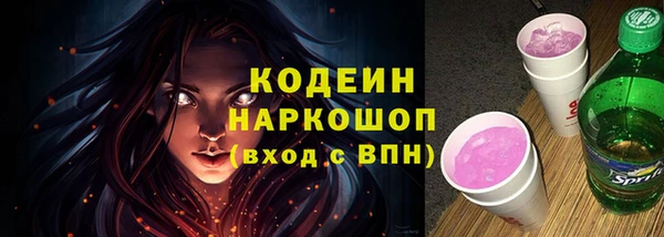 ПСИЛОЦИБИНОВЫЕ ГРИБЫ Михайлов