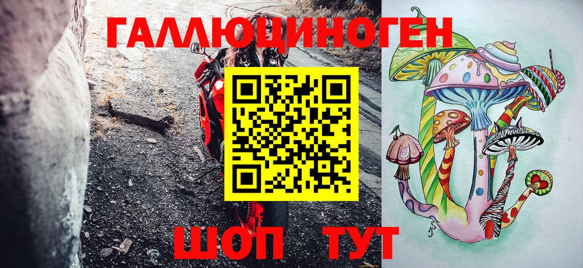 Галлюциногенные грибы Psilocybe Нефтекумск