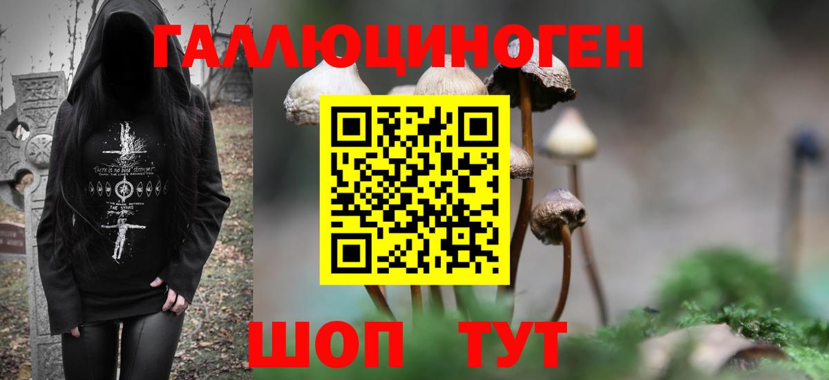 Псилоцибиновые грибы GOLDEN TEACHER  Псилоцибиновые грибы Cubensis  цены наркотик  Нефтекумск 